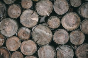 Holzheizungen sind umweltfreundlich